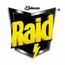 Raid logo