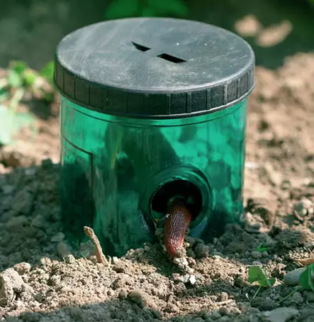 Etanapyydys Natural Control 12 kpl - Muut karkottimet ja ansat - 7640104973690 - 2