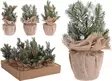 Joulupuu juuttis=C3=A4kiss=C3=A4 23cm Xmas - Joulukoristeet ja -tekstiilit - 8719987238130 - 1