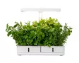 Kasvivalaisin Daisy 20W-835 1450lm - Lattia- ja pöytävalaisimet - 6435200292780 - 2