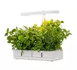 Kasvivalaisin Daisy 20W-835 1450lm - Lattia- ja pöytävalaisimet - 6435200292780 - 5