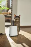 MyPet kissanhiekkalapioteline lapiolla ja pussilokerolla valkoinen - Kissanhiekat ja vessat - 7610859247070 - 2