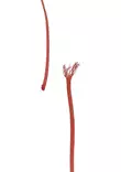 Polyeteenik=C3=B6ysi Piippo 3mm x 100m-2 - Köydet ja narut - 6408586500350 - 3