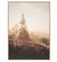 Taulu aurinko ja kuusi 50x70 cm 4Living - Taulut ja kehykset - 6410416166230 - 1