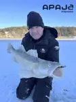 Pilkkivapa Korkki 23cm Apaja - Pilkkiminen ja talvikalastus - 6410416207810 - 3