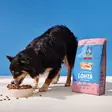 Hhc lohta riisiä ja kauraa aikuisille koirille 6kg - Koiran ruoat ja ateriat - 6430076899040 - 3