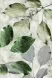 Monivärinen 60x100 cm Konepestävä Antibakteerinen 3D Digitaalipainettu Polyesterimatto Liukumaton 8 mm Nukka - Pienet matot ja käytävämatot - 8682870636200 - 3