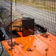 Ristiinhalkaisuterä halkomakoneeseen - Klapikoneet - 6438168105260 - 7