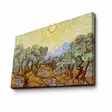Van Gogh Olive Trees 1889 - Monivärinen 100% Mokkanahkakangas, 45x70 cm, 3 cm Paksu Puukehys, Seinäkoriste - Taulut ja kehykset - 8681875399950 - 1