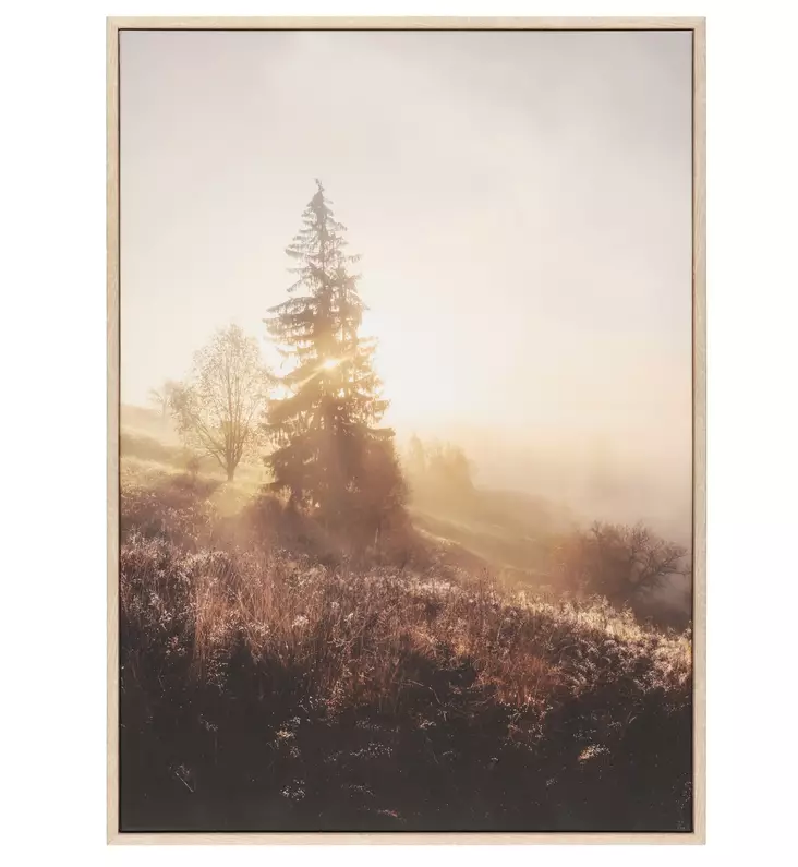 Taulu aurinko ja kuusi 50x70 cm 4Living - Taulut ja kehykset - 6410416166230 - 1