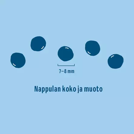 Pennuille ja emoille kanariisi kaura 2kg - Koiran ruoat ja ateriat - 6438554010611 - 2