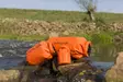 Outdoor Dry Bag Oranssi/Musta 2 l - Kameralaukut - 5412810253661 - 14