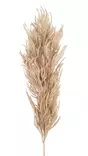 Pampahein=C3=A4 ruskea 82 cm 4Living - Tekokasvit ja tekokukat - 6410416183701 - 1