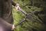 Pensassakset Fiskars SingleStep™ - Puutarhasahat ja sakset - 6411501147301 - 2
