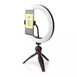 Rengasvalo | 10 inch | 120 LED's | 2700 - 6700 K | Kolmijalka | Musta - Valokuvausstudio ja valaistus - 5412810408801 - 51