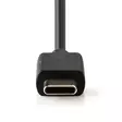 Seinälaturi | 15 W | 1x 3.0 A | Lähtöliitäntöjen määrä: 1 | USB-C (kiinteä) Kaapeli | 1.50 m | Single Voltage Output | Musta - Verkkolaturit - 5412810267521 - 10