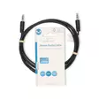 Stereoäänikaapeli | 3.5 mm uros | 3.5 mm uros | Niklattu | 2.00 m | Pyöreä | Musta | Label - Audiokaapelit - 5412810419951 - 66