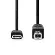 USB kaapeli | USB 2.0 | USB-C Uros | USB-B Uros | 480 Mbps | Niklattu | 2.00 m | Pyöreä | PVC | Musta | Laatikko - Tietokone ja verkko - 5412810336111 - 10