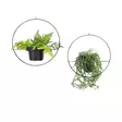 Jardiniere, musta, 25 x 25 x 25 cm, 30 x 30 x 30 cm, kestävä - Kukkatelineet ja kasvutuet - 8683342483841 - 1