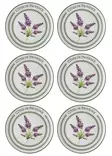 Keittiövälineet: Lilat Keraamiset Tarjoilulautaset (6 kpl) - 26x26x2 cm - Astianpesukoneen Kestävät - Tarjoiluastiat - 8684283616961 - 3