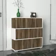 Kenkäkaappi, valkoinen pähkinäpuu, Leveys 90 cm, korkeus 93 cm, syvyys 30 cm, kestävä, tilava, skandinaavinen - Kenkäkaapit - 8681181790991 - 2