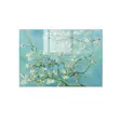 Koristeellinen Karkaistu Lasi Maalaus 70x100 cm - Monivärinen Seinäkoriste, 4 mm Paksuus, Helppo Asennus - Taulut ja kehykset - 8683743269051 - 1