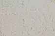 Luxus Kylpyhuonemattosetti (2 kpl), monivärinen, 50 x 60 cm ja 60 x 100 cm, antibakteerinen, liukumaton - Kylpyhuonematot ja kosteantilan matot - 8681875279511 - 4