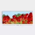 Monivärinen Koristeellinen Canvas-taulu 50x120 cm - 100% Puukehys, 3 cm Paksuus - Tyylikäs Seinäsisustus - Taulut ja kehykset - 8682870428171 - 4