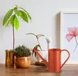 Punainen 100% Metallinen Kastelukannu - Tyylikäs ja Kestävä 11x11x17 cm, 1,5 l - Koristeellinen Puutarhatyökalu - Kastelukannut - 8682870081451 - 2