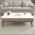 Sohvapöytä - Huonekalut, Pähkinävalkoinen, 100% Melamiinipinnoitettu Lastulevy, 105x34,6x60 cm, Muovijalat, Useita Hyllyjä - Sohvapöydät - 8683742130611 - 3