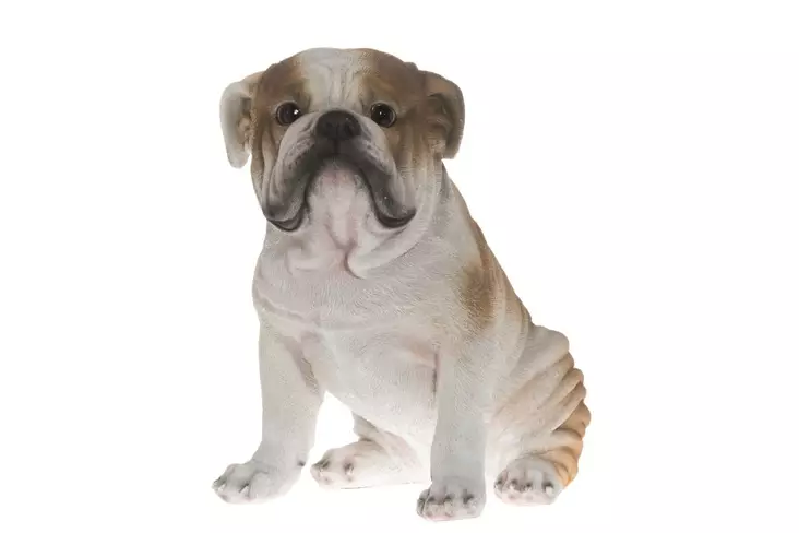 Bulldog 34 cm 4Living Garden - Pihakoristeet - 6410412994561 - 1