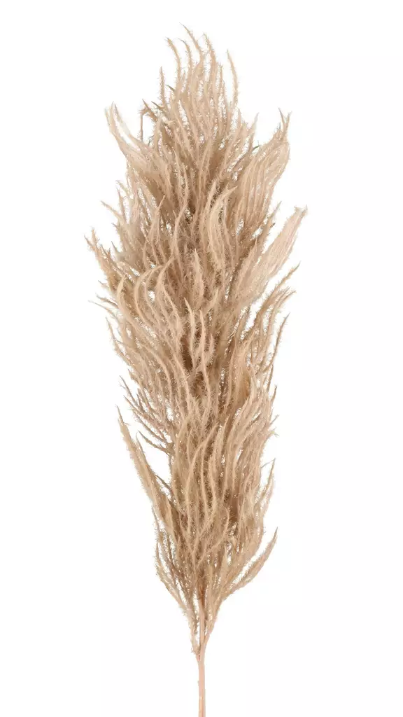 Pampahein=C3=A4 ruskea 82 cm 4Living - Tekokasvit ja tekokukat - 6410416183701 - 1