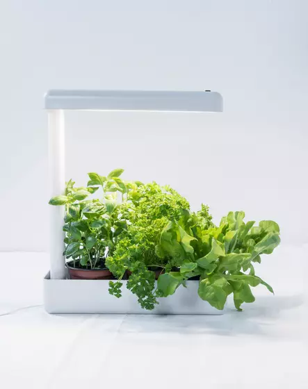 Kasvivalaisin Herby LED 12 W Airam - Lattia- ja pöytävalaisimet - 6435200228222 - 1