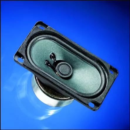 Magneettisesti suojattu 5 x 9 cm (2" x 3,5") täyden alueen ohjain - Kaiutinelementit ja tarvikkeet - 4007540080062 - 15