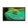 24 tuuman HD LED-TV DVB-T2 DVB-C DVB-S2 12V Musta 24 tuuman HD LED-TV DVB-T2 DVB-C DVB-S2 12V Musta - Televisiot ja mediatoistimet - 8711902072232 - 14