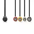 DIN Audiokaapeli | DIN 5-Pin uros | 4x RCA uros | Niklattu | 1.00 m | Pyöreä | PVC | Musta | Label - Audiokaapelit - 5412810419852 - 10