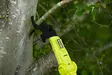 Oksaleikkuri teleskooppivarrella Ryobi ry18pla-0 18v ONE+ - Pensasleikkurit ja oksasahat - 4892210182562 - 10