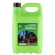 Pienkonebensiini Shell 4T 5 L - Pienkonebensat ja öljyt - 7041065500022 - 2