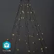 SmartLife Jouluvalot | Puu | Wi-Fi | Lämmin Valkoinen | 200 LED's | 20.0 m | 10 x 2 m | Android / IOS - Koristevalot - 5412810404322 - 1