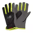 Timco WorkWear W160 vedenpitävät talvityökäsineet - Vuorelliset käsineet - 6438014353302 - 2