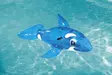 Uimalelu Delfiini 157 cm - Vesilelut - 6942138949902 - 22