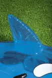 Uimalelu Delfiini 157 cm - Vesilelut - 6942138949902 - 20