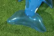 Uimalelu Delfiini 157 cm - Vesilelut - 6942138949902 - 21