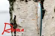Rapala Suomi 100 vaappu-uistin tunnelmakuva - Vieheet ja uistimet - 022677284682 - 4
