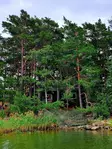 Naamioverkko 2,4 x 6 m Atom - Metsästystarvikkeet - 6410416153322 - 3