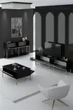 Olohuoneen Kalustesetti - Musta Kulta - 100% Melamiinipinnoitettu Lastulevy - TV-taso 180x47x30 cm - Konsoli 150x80x30 cm - Huonekalut - 8684282484202 - 8