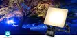 Smartlife Outdoor Light | Liiketunnistin | 1620 lm | Wi-Fi | 20 W | Lämpimästä kylmään valkoiseen | 3000 - 6500 K | Alumiini | Android / IOS - Valaisimet - 5412810467242 - 90