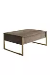 Walnut Gold Olohuoneen Kalustesetti - 100% Melamiinipinnoitettu - Metallijalat - Konsoli, TV-taso, Sohvapöytä - Huonekalut - 8684282178262 - 14