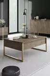 Walnut Gold Olohuoneen Kalustesetti - 100% Melamiinipinnoitettu - Metallijalat - Konsoli, TV-taso, Sohvapöytä - Huonekalut - 8684282178262 - 5