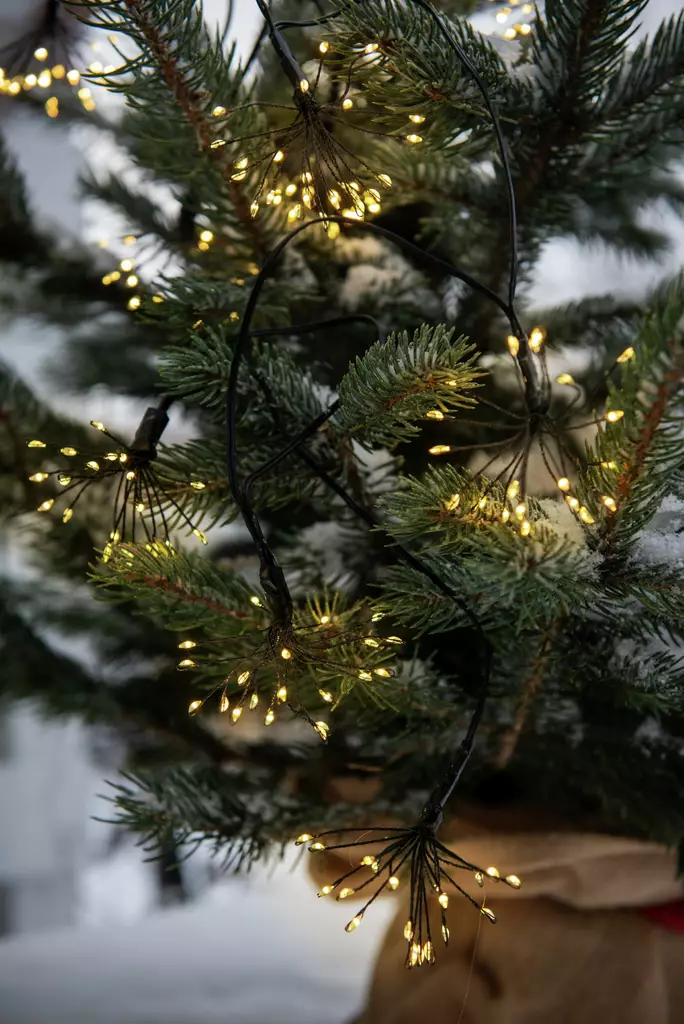 Koristevalo Allium 200 Led musta johto - Valokoristeet ja valohahmot - 6435200288882 - 1